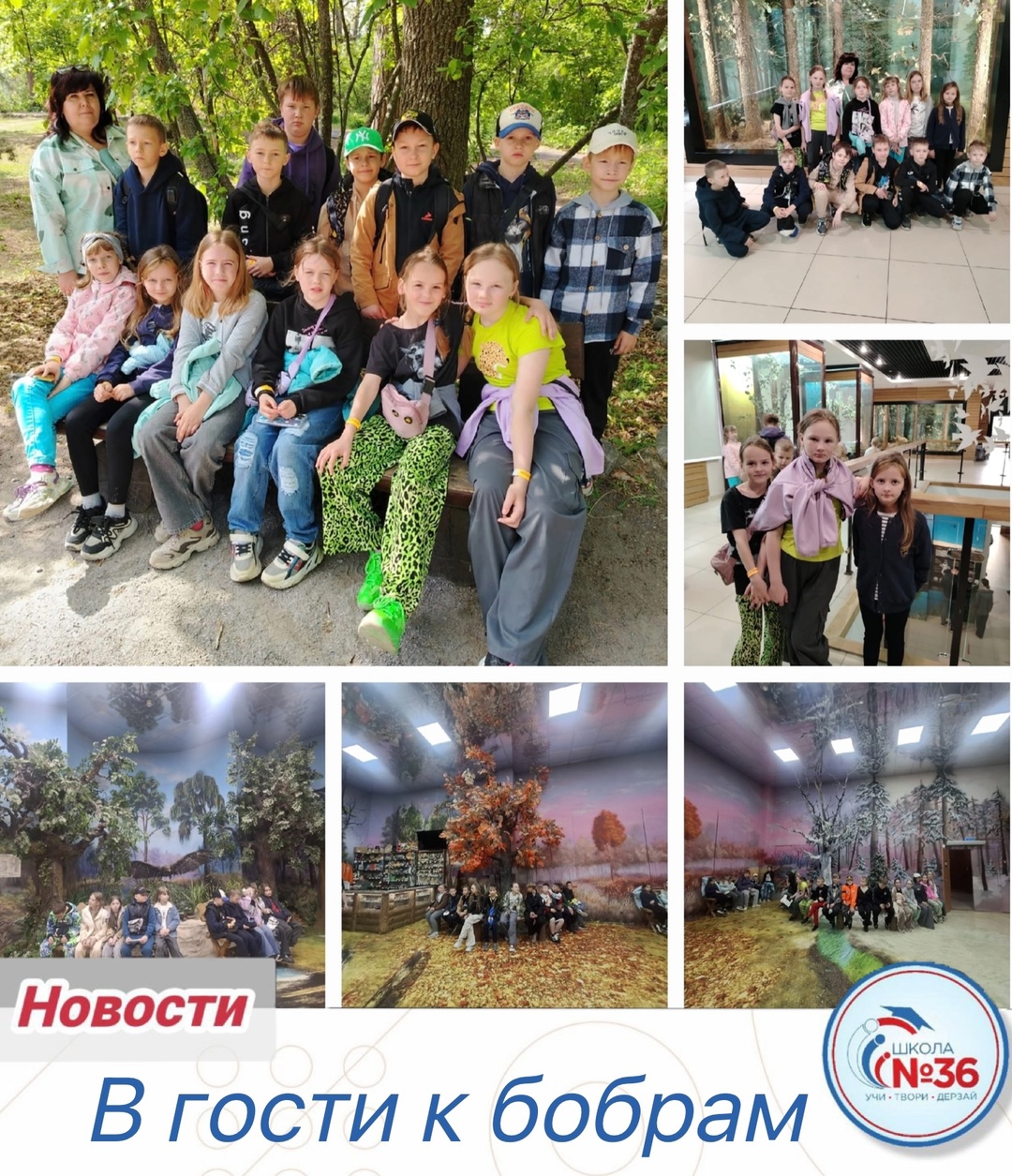 В гости к бобрам.